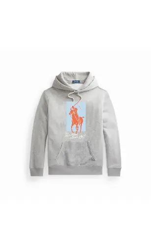 PULL Ralph Lauren imprimé gris